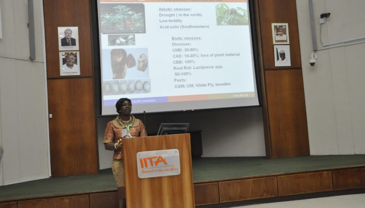 Elizabeth Parkes, Cassava Breeder, highlights major research breakthroughs.