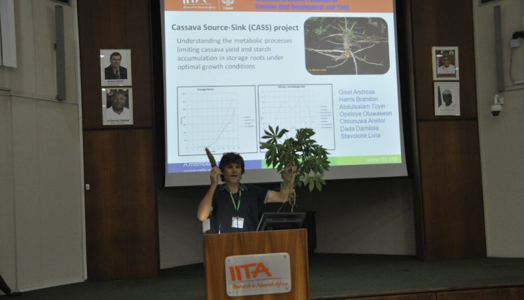 Andreas Gisel briings a live cassava plant for his poster presentation.