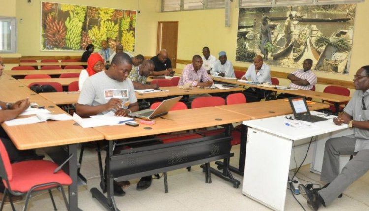 Picture of Syngenta participants during the training session