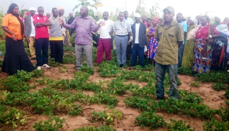 Picture of Farmers during the field day.