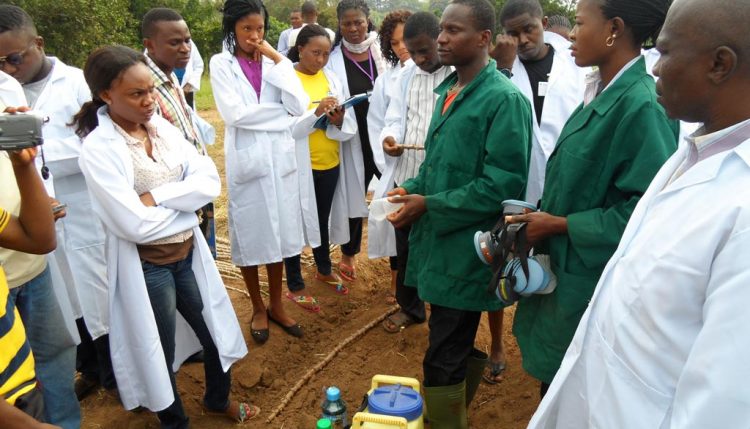 Picture of Youth Agripreneurs training fellow youths