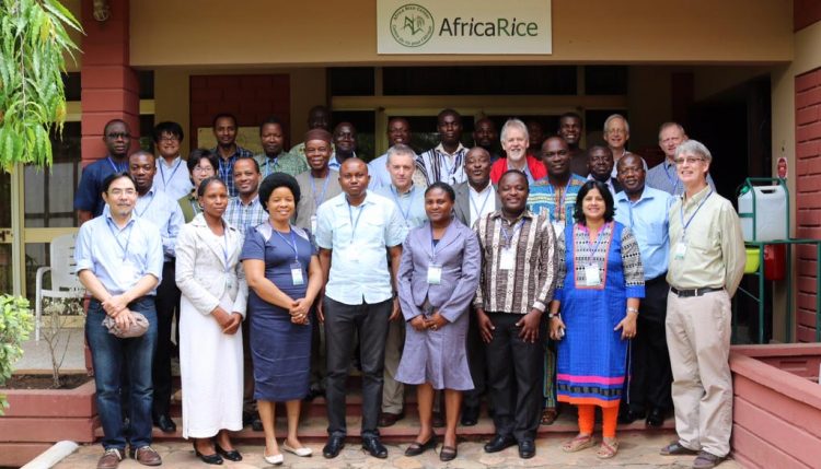 Group photo of the participants of the AfricaYam annual review and planning meeting.