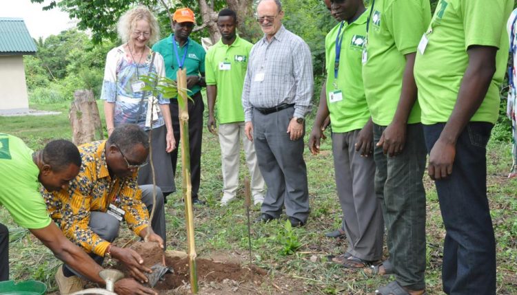 Picture of David Ladipo planting mahogany in arboretum with Deni Bown and Kenton Dashiell.