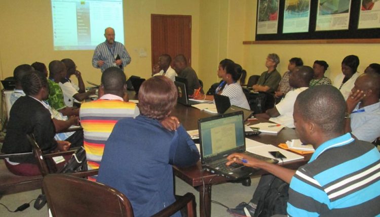 Picture of Participants learn key aspects of phenotyping for yam diseases.