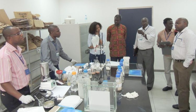 Picture of participants receive training on testing for aflatoxins