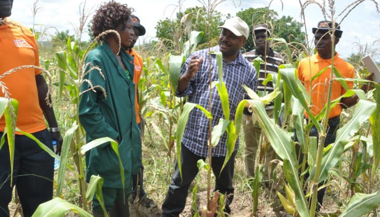 Picture of DG Sanginga motivates IITA Youth Agripreneurs to go into value chain activities in maize.