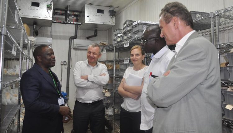 Picture of The Nestlé delegation learning about IITA’s work in germpalsm preservation