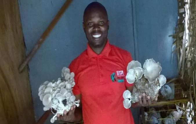 Picture of IYAKIN Agripreneur presenting white mushrooms.