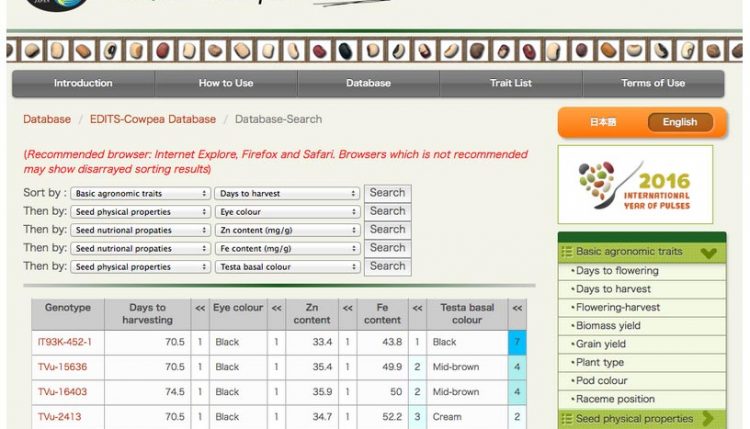 Screen grab of The EDIT-Cowpea database (pictured above) enables cowpea breeders to identify genotypes with favorable target traits.