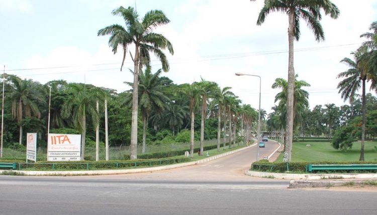 Picture of The AAHC conference will be held at the IITA-Ibadan campus.