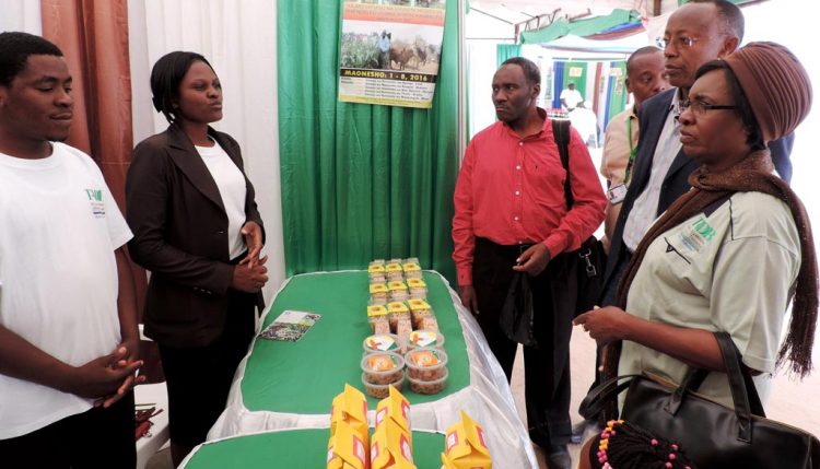 Picture of Board chair and the MD of the Tanzania Agricultural Development Bank (TADB) listening to TYA youth on their activities and products.