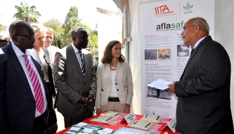 Picture of IITA’s Ranajit Bandyopadhyay (right): (L-R) KALRO Director Eliud Kiplimo Kireger, Kenya’s Agriculture Cabinet Secretary, Hon. Willy Bett, and USAID’s Beth Dunford