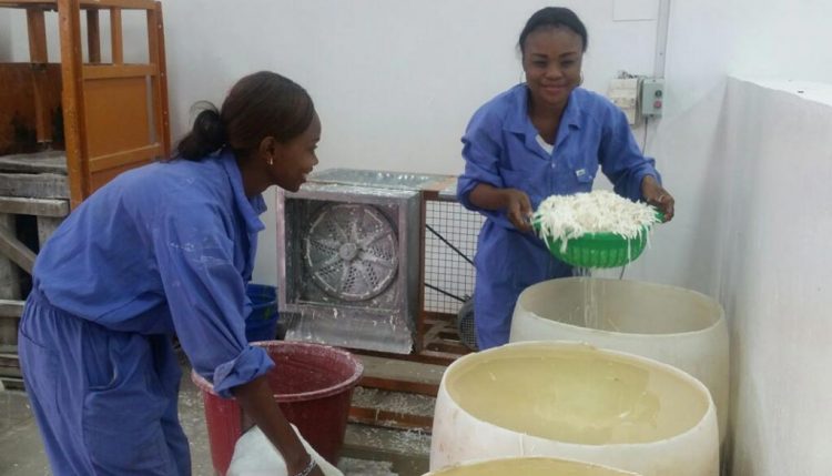 Picture of IYA Kinshasa delegates processing fresh cassava roots to chips