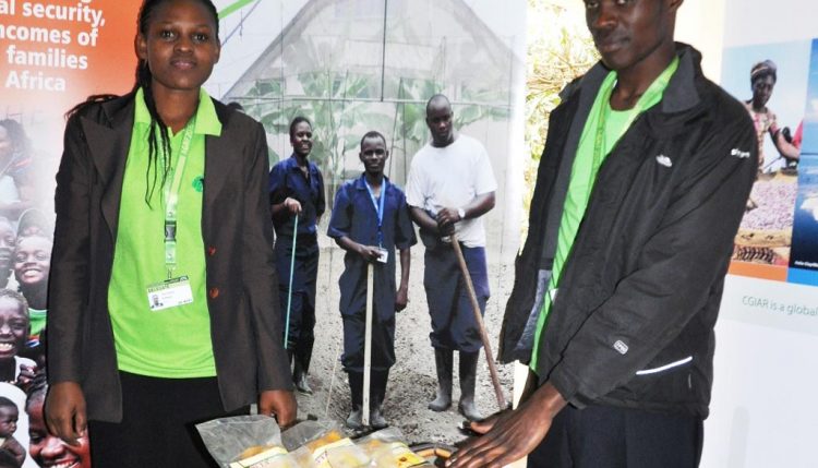 Picture of Veronica Kichanta and Julius Muli, IITA Agripreneurs fromTanzania and Kenya, respectively, at the IITA stand, CGIAR exhibition.