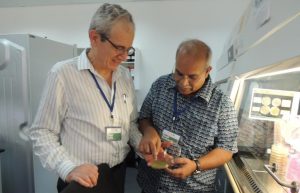 Picture of Ranajit (right) and Peter examining a specimen of Aspergilus flavus in the lab.