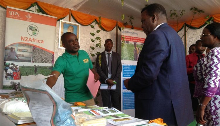 Picture of IITA’s Alexander Nganga (left) briefing the Minister of Agriculture, Dr George Chaponda, about aflasafe.