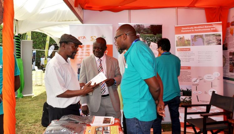 Picture of IITA’s Manyong (middle) hosts guests at the exhibition booth.