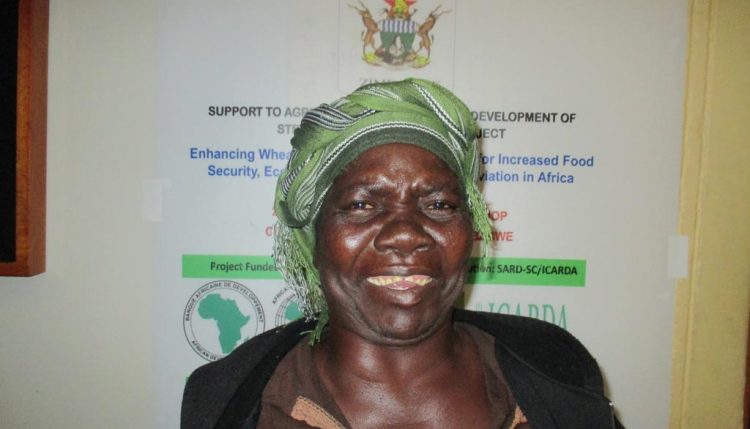 Picture of Sabina Nyahuye - female wheat farmer.