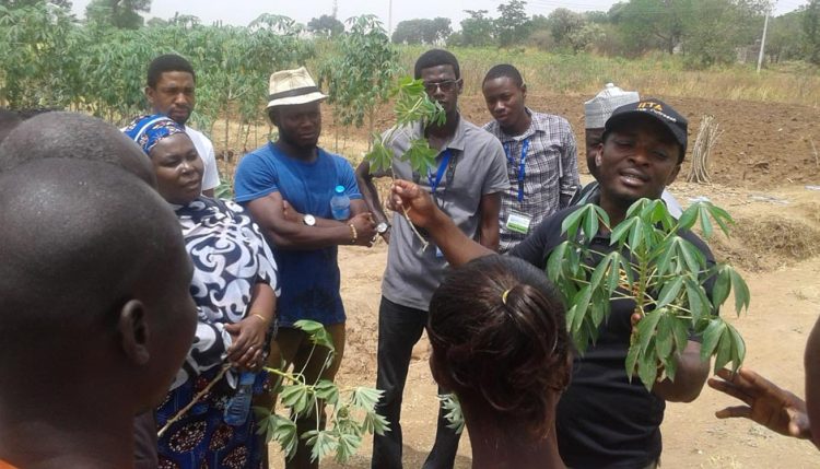 Picture of youth being trained on seed production.