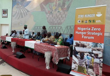 Picture of IITA Goodwill Ambassador, former president Olusegun Obasanjo, addressing the audience during the NZHF in Benue.