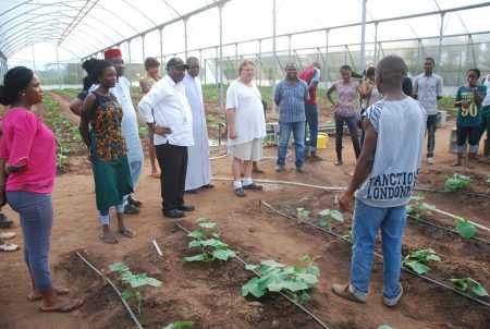 Picture of agripreneur shows propagation activities for cucumber.