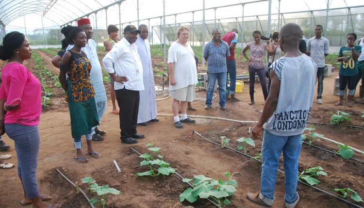 Picture of agripreneur shows propagation activities for cucumber.