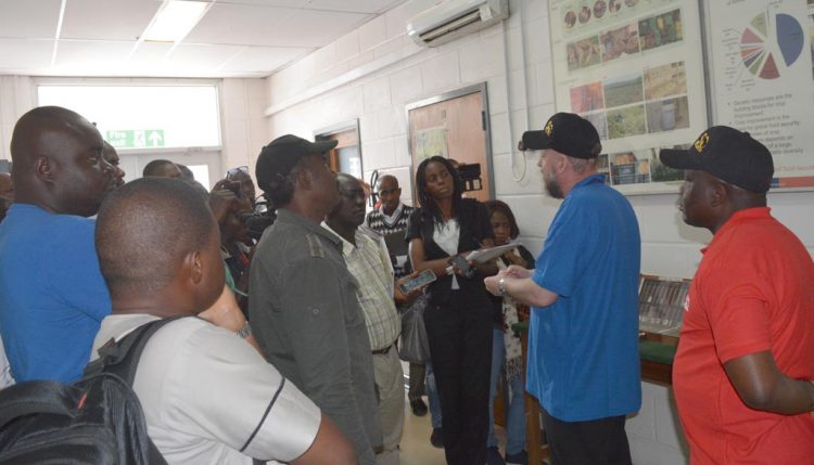 Picture of At the Genetic Resources Center, the media practitioners saw seeds of various crops of importance which IITA holds in trust for humanity.