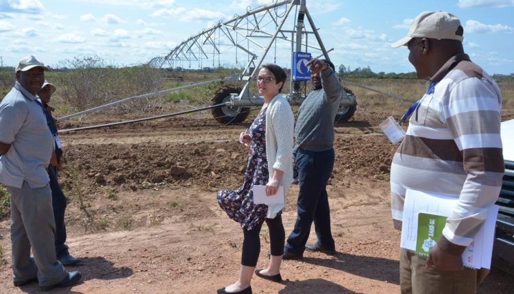 Picture of DDG Saethre being briefed by Chikoye and other scientists on activities at the experimental field at SARAH.