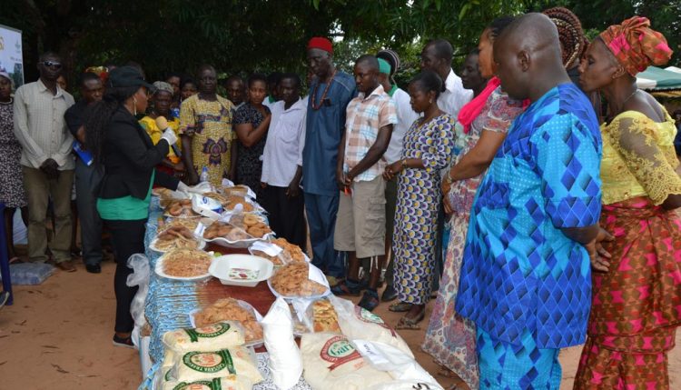 Picture of Farmers listening with keen interest to an explanation on postharvest processing of cassava