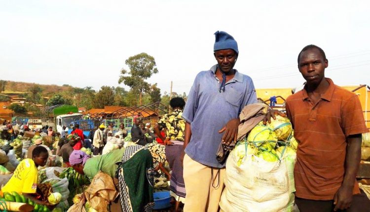 Picture of Two youth involved in agribusiness in Kamu, Bulambuli District, on the slopes of Mt. Elgon.