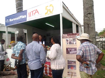 Picture of Exhibition stand of IITA, HarvestPlus, and Youth Agripreneurs.
