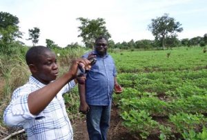 Picture of USAID-MARKETS II Soybean Advisor Emmanuel Abam and Teryima Iorlamen (Egalf) during the joint field inspections.