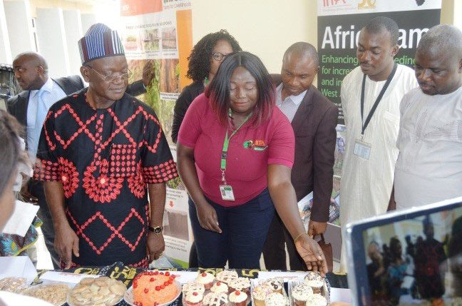 Picture of Governor at Agripreneurs’ exhibition of cassava and yam products.