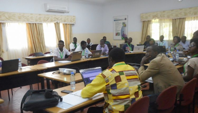 Picture of Dr Wright (first from left) and other stakeholders during the workshop.