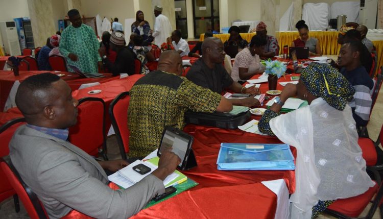 Picture of Group discussions at the FAO Nigeria program framework workshop