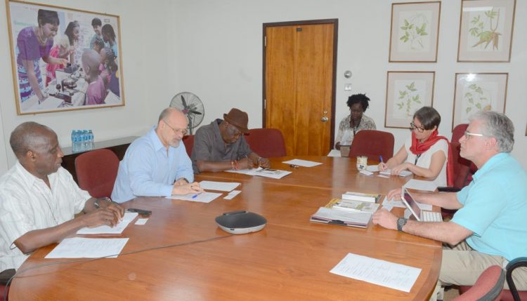 Picture of Dashiell, Dixon, May-Guri, and Akem discussing with Steve