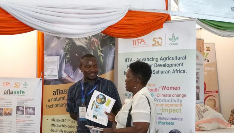 Picture of IITA exhibition booth, visitor listens to Edwin from aTTC talking about the aflasafe product