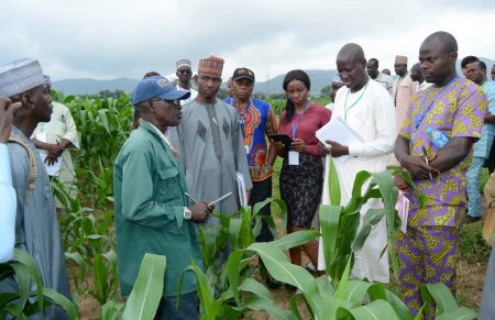 Picture of Daniel Adekunle (in green cap) of Maize Breeding explaining about IITA’s work on maize to participants
