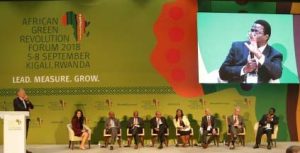 Picture of a panel of experts look at the fall armyworm problem at AGRF