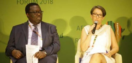 Picture of Dennis Rangi, CABI; and May-Guri Saethre, IITA, in a panel discussion
