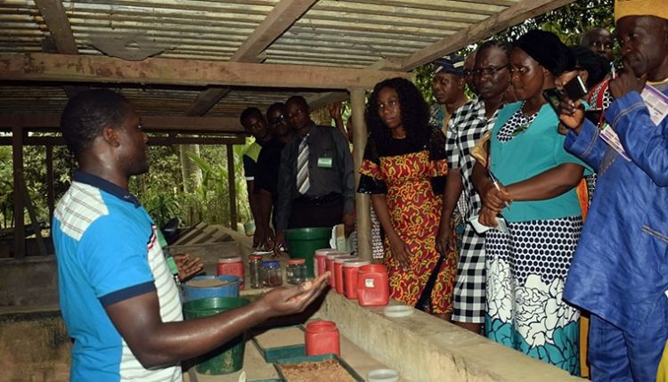 Forest Center Plant Specialist demonstrates seed propagation techniques to participants.