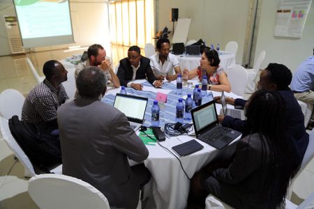 A group discussion in progress during the Africa RISING Program Learning Event held on 5 - 8 February 2019 in Malawi. Photo credit: Simret Yasabu/ILRI.