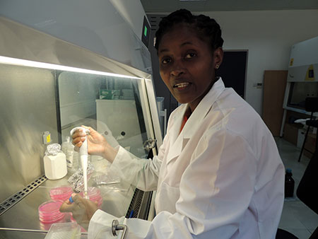 Fina Mfinga, IITA Research Technician at Pathology Lab, carrying out an experiment.