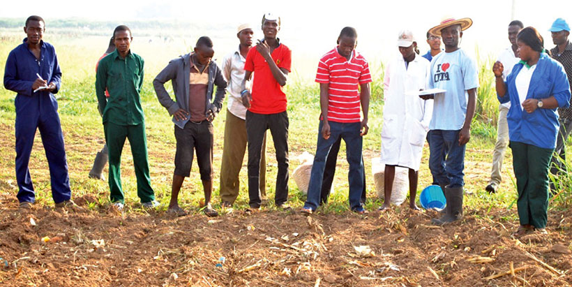 Youth agripreneurs on a field during land preparation