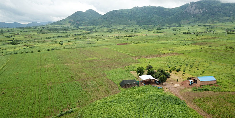 An overview of the DG’s farm.