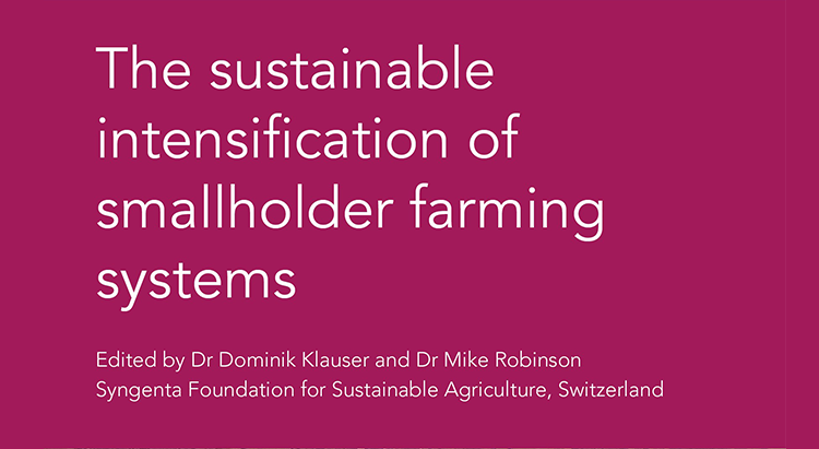 New publication tackles how best to support smallholder farmers