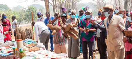 BASICS-II kicks off partnership to promote improved cassava varieties cultivation and consumption