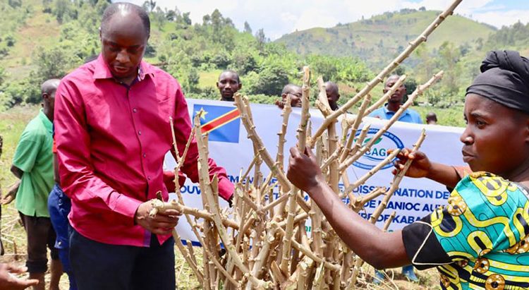 IITA takes the lead in agricultural transformation in DRC