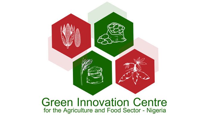 GIZ–GIAE and IITA target job creation and increased maize and cassava productivity in Nigeria