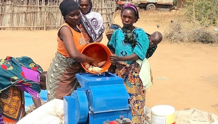 How gender norms prevent women from using technology to shell maize in Tanzania